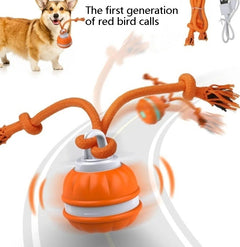 Interactive Pet Rolling Ball Toy USB Rechargeable Value Destination