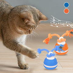 Interactive Pet Rolling Ball Toy USB Rechargeable Value Destination