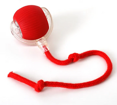 PurrPlay Self-Rolling Cat Toy Ball Value Destination