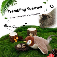 Flapping Bird Cat  Toy Value Destination
