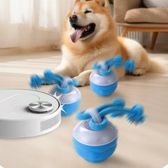 Interactive Pet Rolling Ball Toy USB Rechargeable Value Destination
