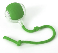 PurrPlay Self-Rolling Cat Toy Ball Value Destination