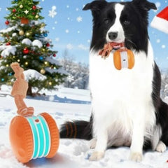 Interactive Pet Rolling Ball Toy USB Rechargeable Value Destination