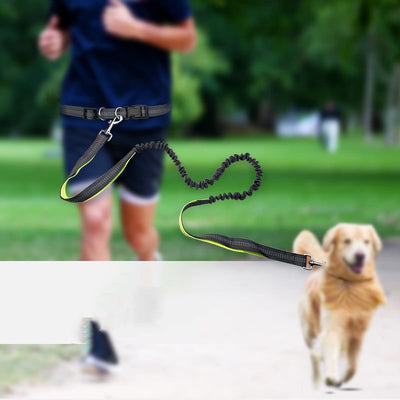 Dog Walking Belt with Detachable Shockproof Leash Value Destination