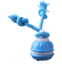 Interactive Pet Rolling Ball Toy USB Rechargeable Value Destination