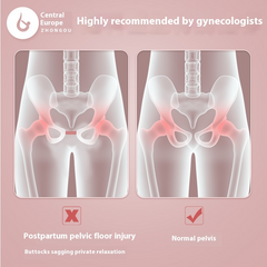 Pelvic Floor Muscle Trainer Value Destination
