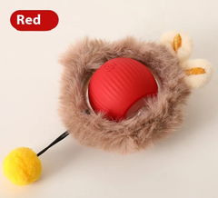 PurrPlay Self-Rolling Cat Toy Ball Value Destination