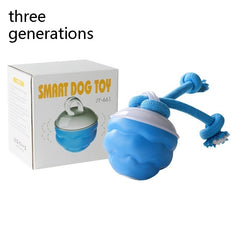 Interactive Pet Rolling Ball Toy USB Rechargeable Value Destination