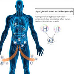 Hydrogen Water Cup Value Destination