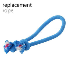 Interactive Pet Rolling Ball Toy USB Rechargeable Value Destination