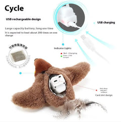 Flapping Bird Cat  Toy Value Destination