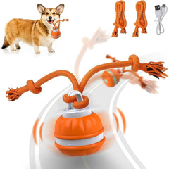 Interactive Pet Rolling Ball Toy USB Rechargeable Value Destination