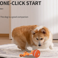 Interactive Pet Rolling Ball Toy USB Rechargeable Value Destination