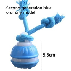 Interactive Pet Rolling Ball Toy USB Rechargeable Value Destination