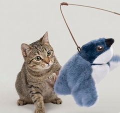 Flapping Bird Cat  Toy Value Destination